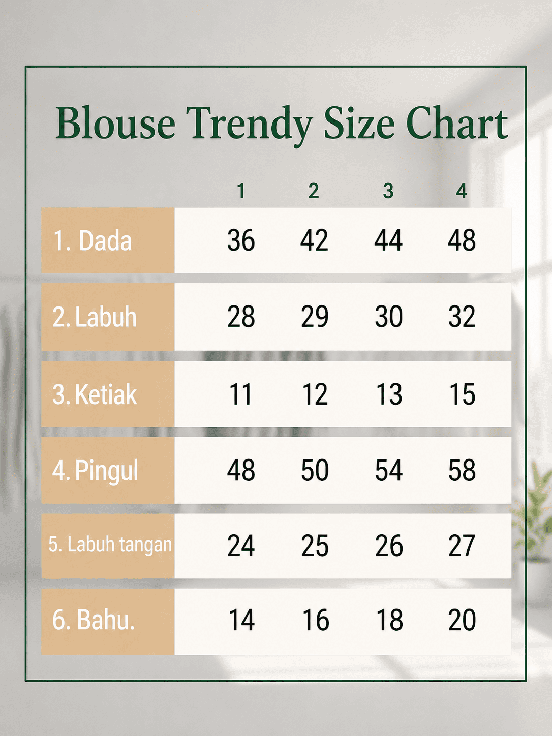 Premium Ironless CEY Blouse – Daily Wear