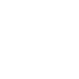 DailyModest